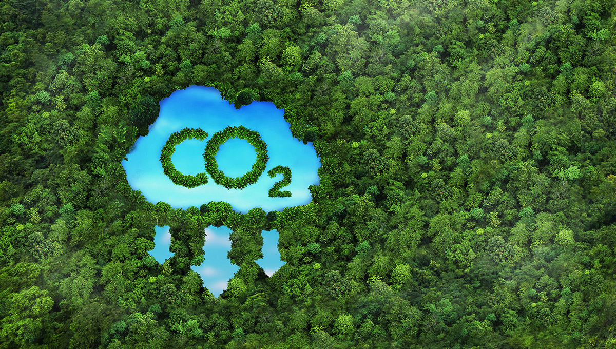 Concept depicting the issue of carbon dioxide emissions and its impact on nature in the form of a pond in the shape of a co2 symbol located in a lush forest.
