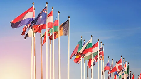 Flags of different countries against a sunlight 