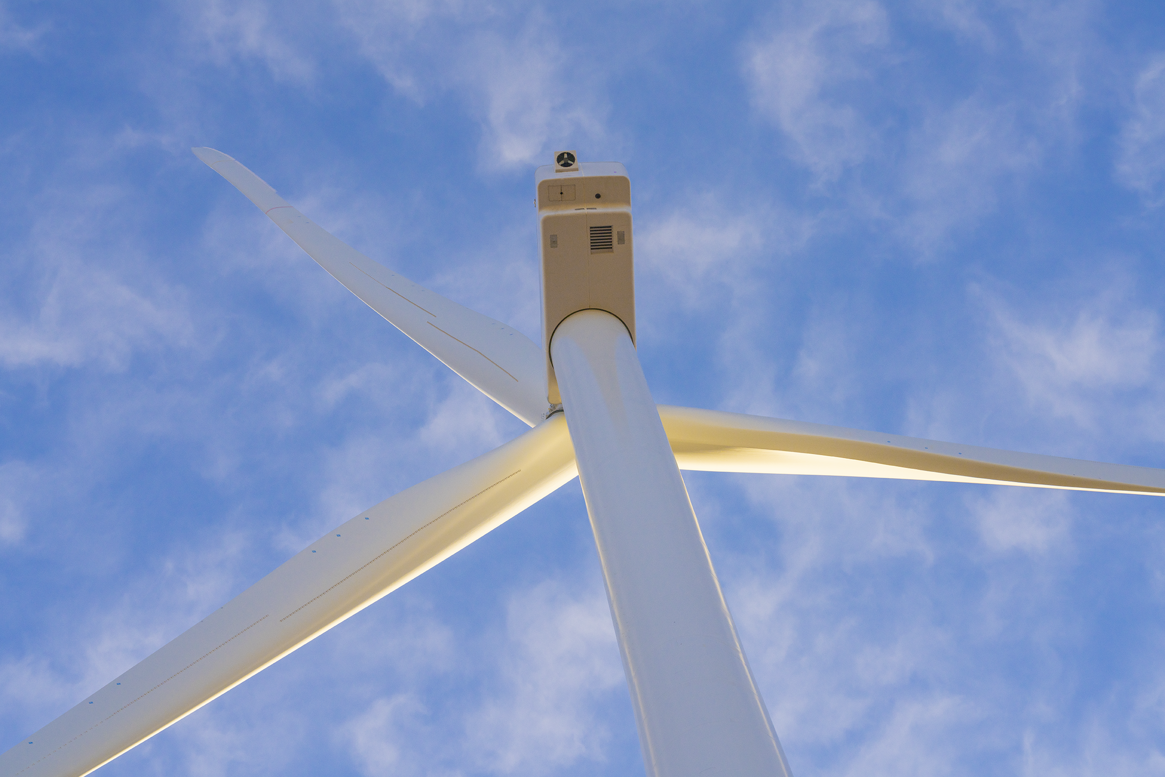 GE_Sierra_BorderlandsNM_Mar22_RJC_4336.png