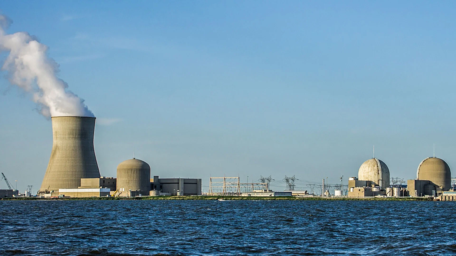 Nuclear Plant Performance