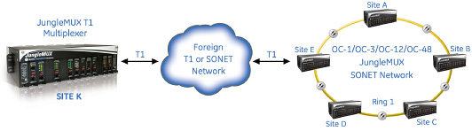Hybrid JungleMUX T1 and JungleMUX SONET Multiplexer