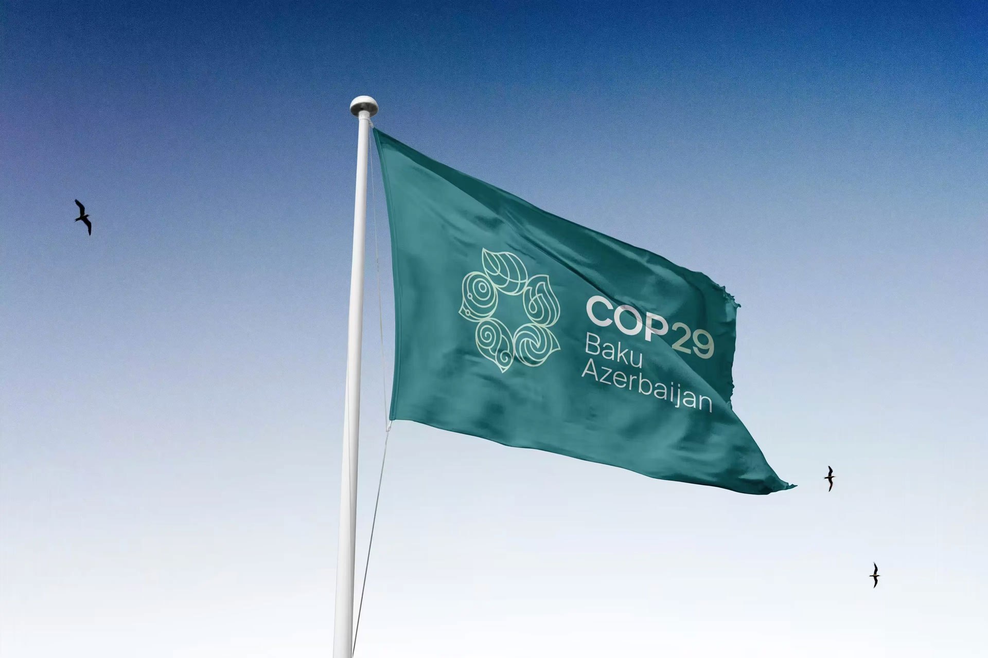 cop29-climate-action