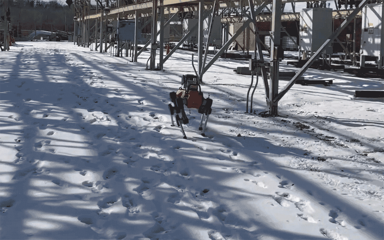 Gif of the robot dog trotting through snowy woods