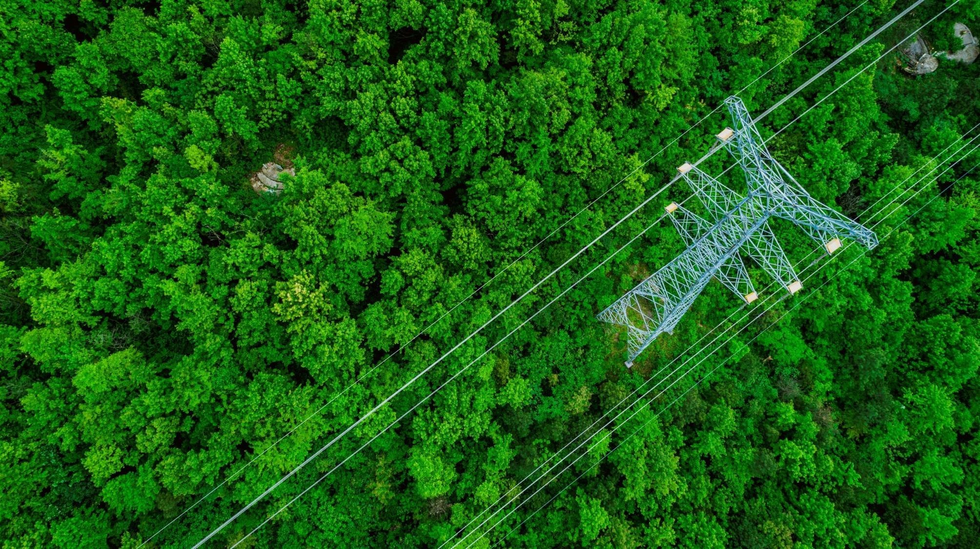 aerial grid
