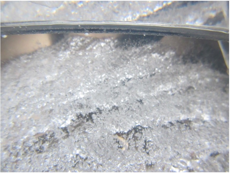 dissolved O2 simulation