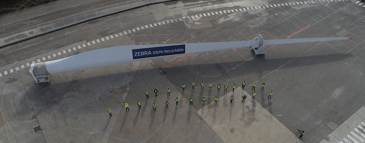 Zebra blade 