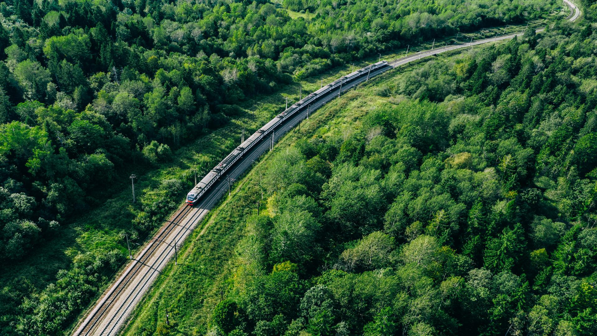 Aerial view of a train in a forest
