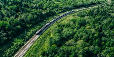 Aerial view of a train in a forest