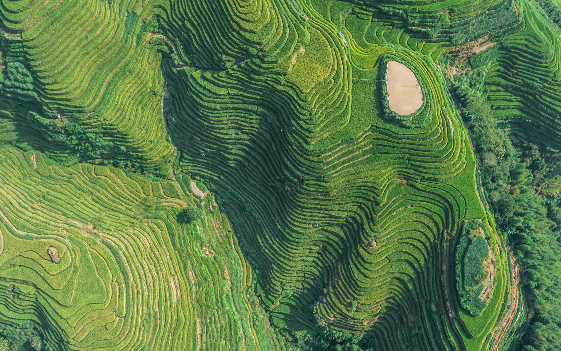 Vernova Image