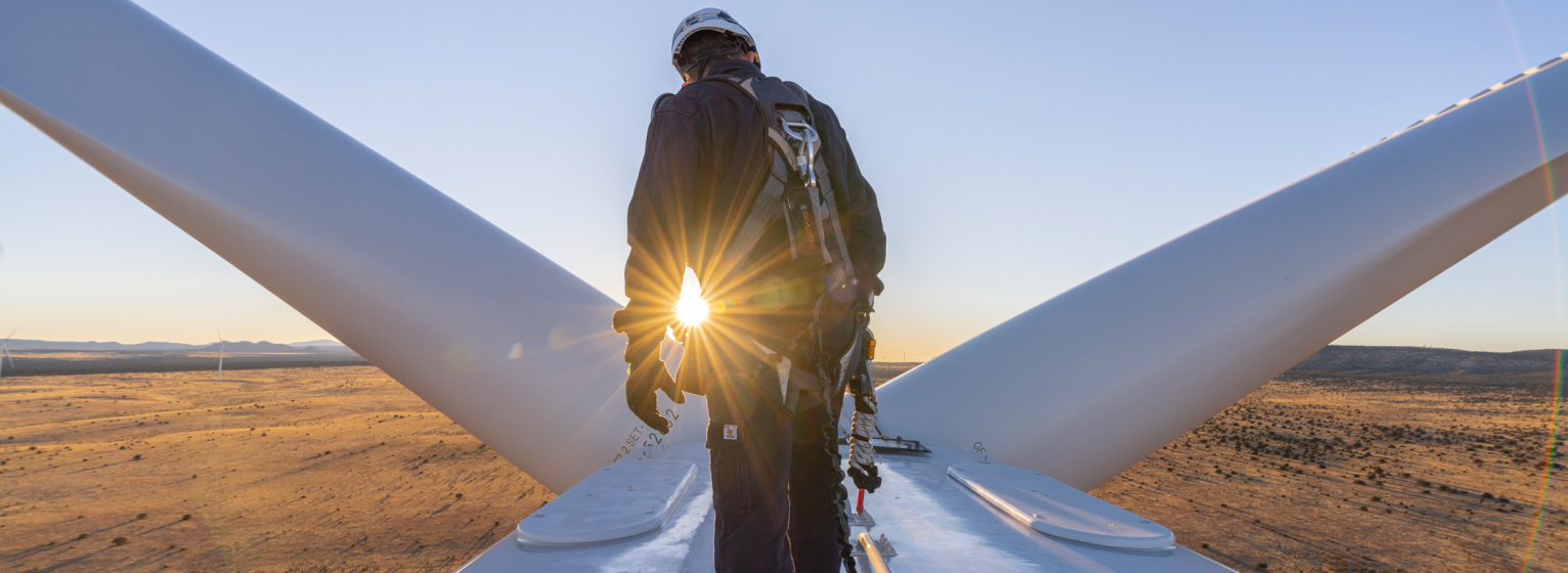 Sustainability Cover image