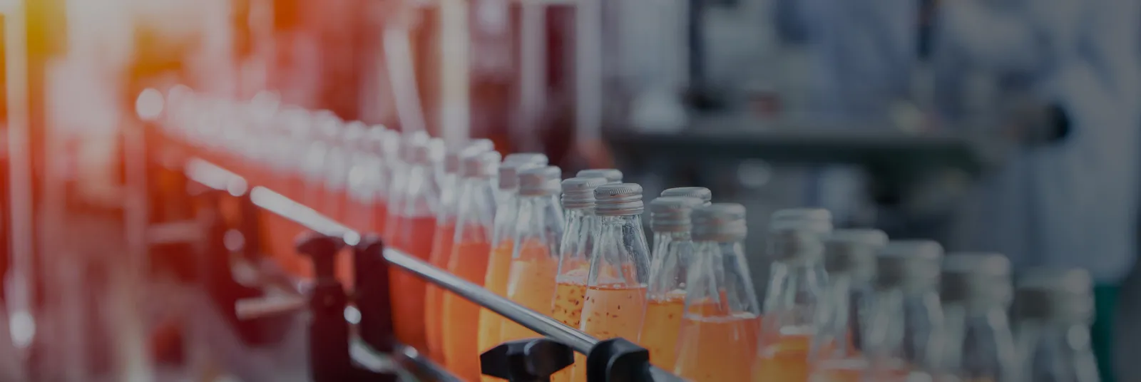 CPG, Food & Beverage Manufacturing Software