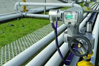 Safety Instrumented Systems (SIS)