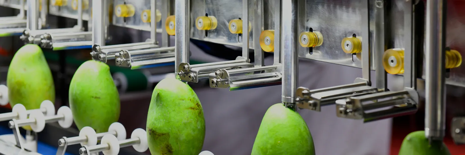 Food Safety Modernization Act 204