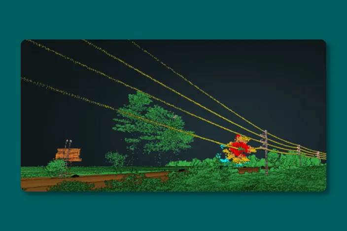 Graphic showing a tree fallen by Hurricane Idalia, August 2023