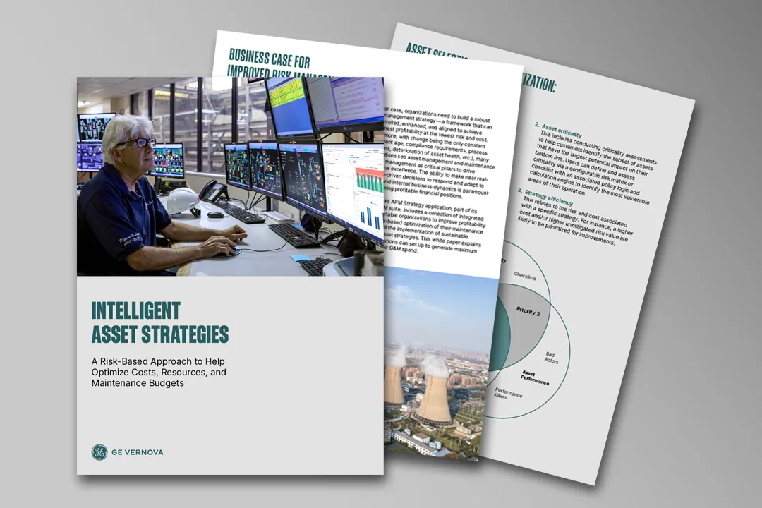 Manage Risk and Cost with Intelligent Asset Strategies