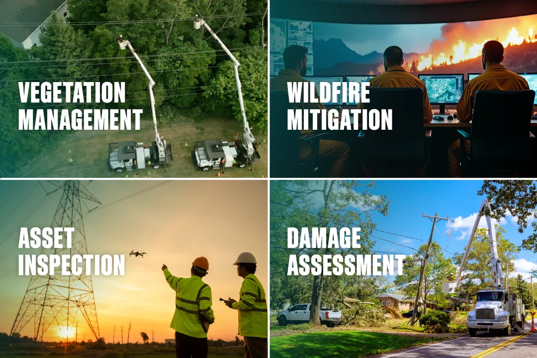 Visual Intelligence in action