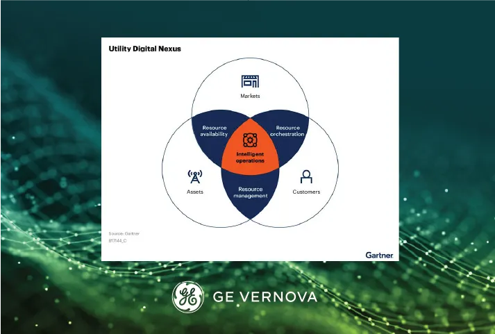 Drive Operational Excellence