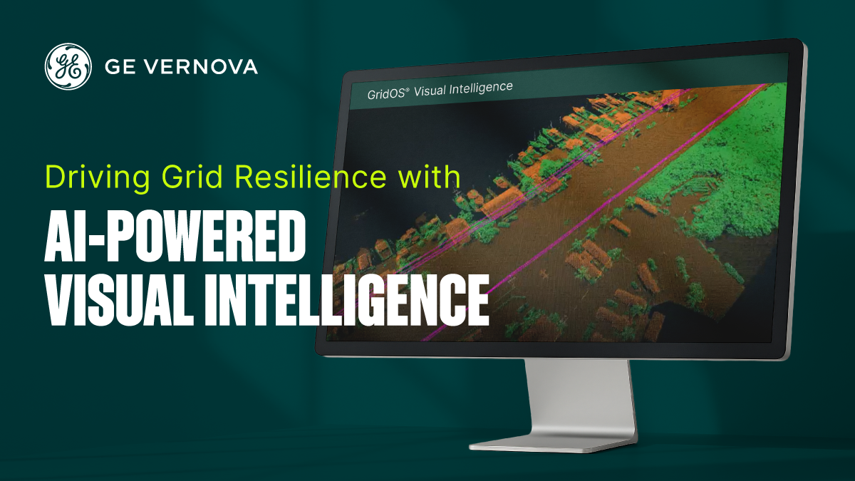 Driving Grid Resilience with AI-Powered Visual Intelligence Webinar ...