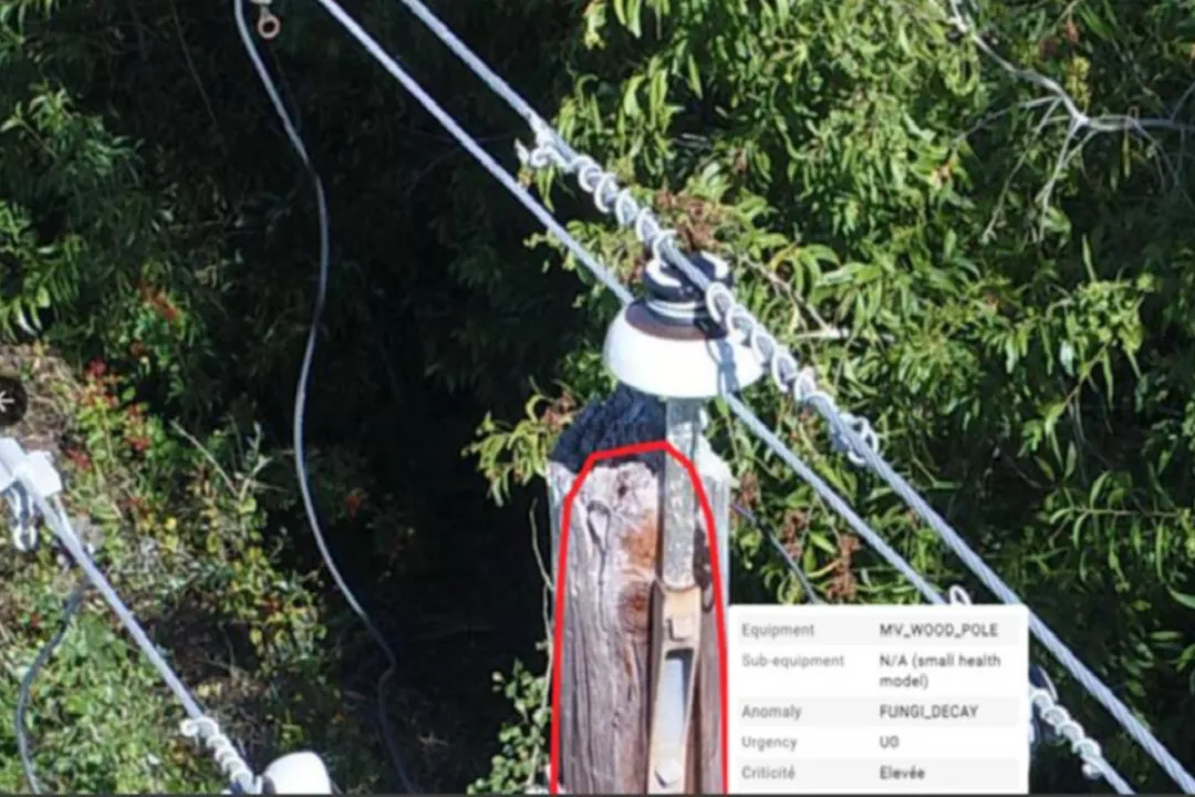 Lower O&M spend through AI-powered early detection