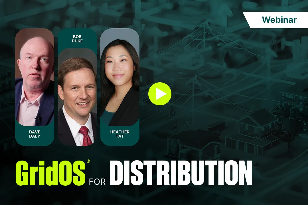 Operating the Grid as One Intelligent System