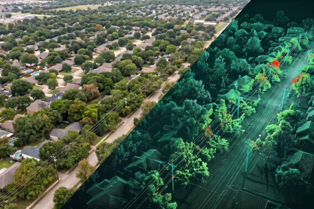 lidar vs satellite the precision dilemma in modern forestry