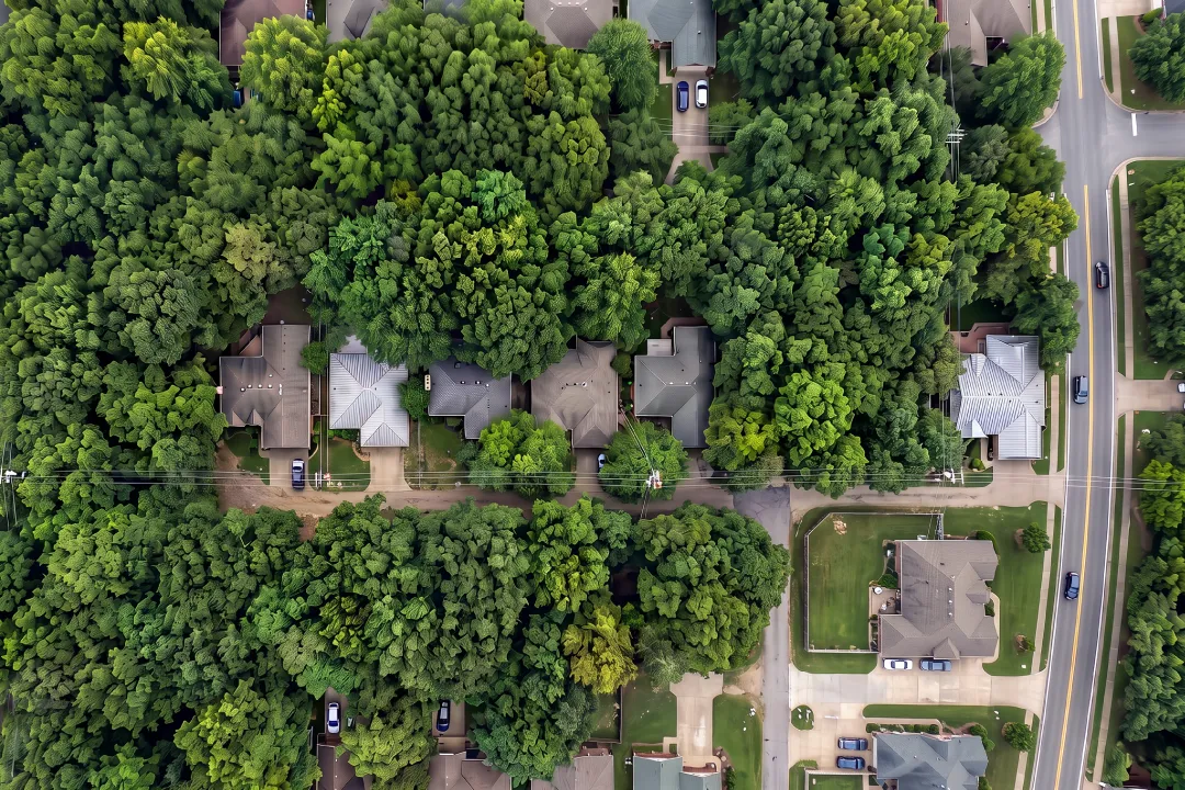 lidar vs satellite the precision dilemma in modern forestry