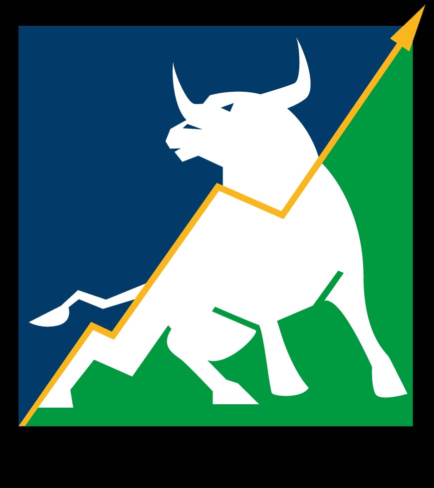 STIER AUTOMATION LLC