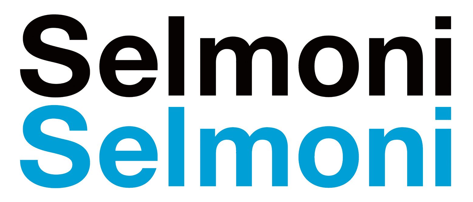 Selmoni Ingenieur AG